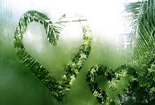 探索卫彦明天涯社区的奇妙世界