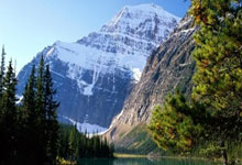 探索卫彦明天涯社区的奇妙世界